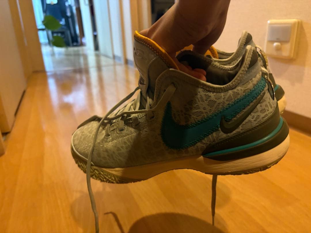 シューズ(男性用) NIKE LEBRON NXXTGEN 28cm
