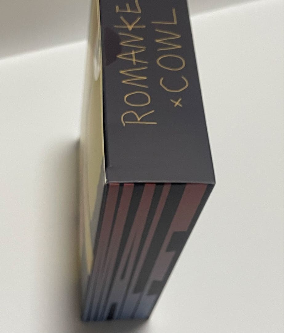 新品未開封 箱傷有りRomankey×COWL WHITE SKIN 男性素体