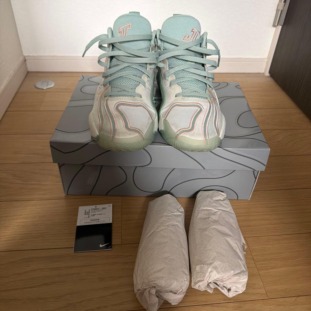 NIKE JORDAN ナイキ　ジョーダン テイタム3
