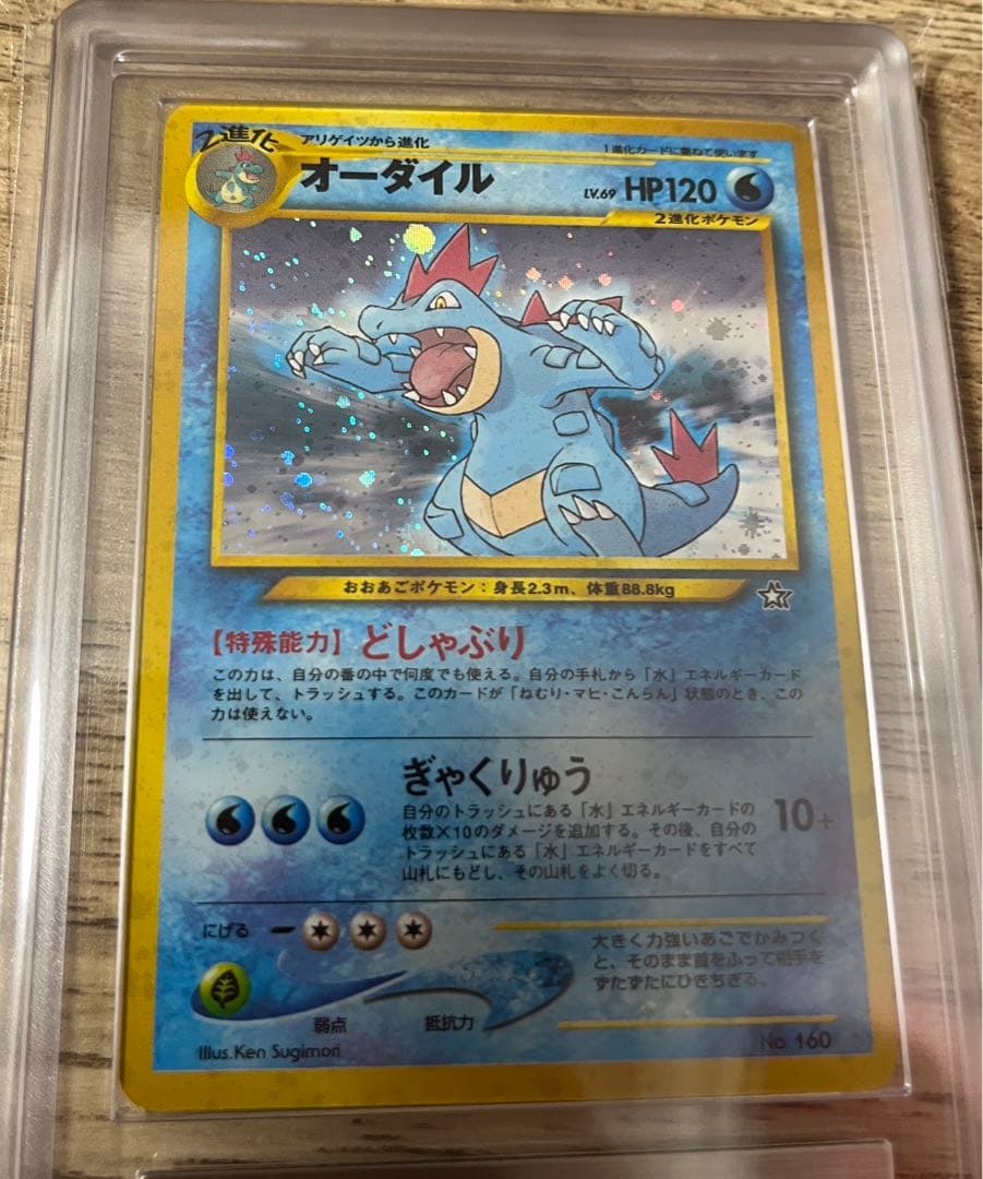 ARS10+ 旧裏 オーダイル psa10 プレミアムファイル　1999