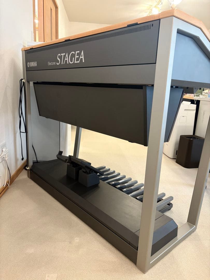 YAMAHA STAGEAカスタム　ELS-01CH バイタライズ済