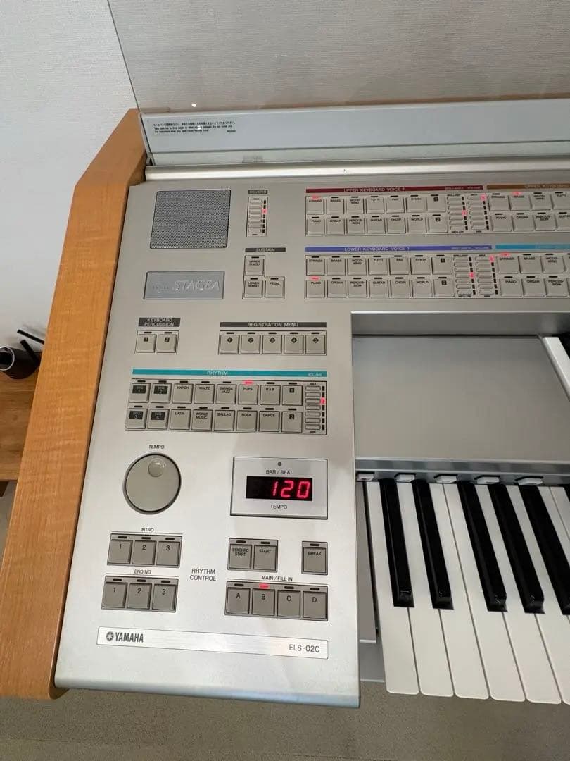 YAMAHA STAGEAカスタム　ELS-01CH バイタライズ済