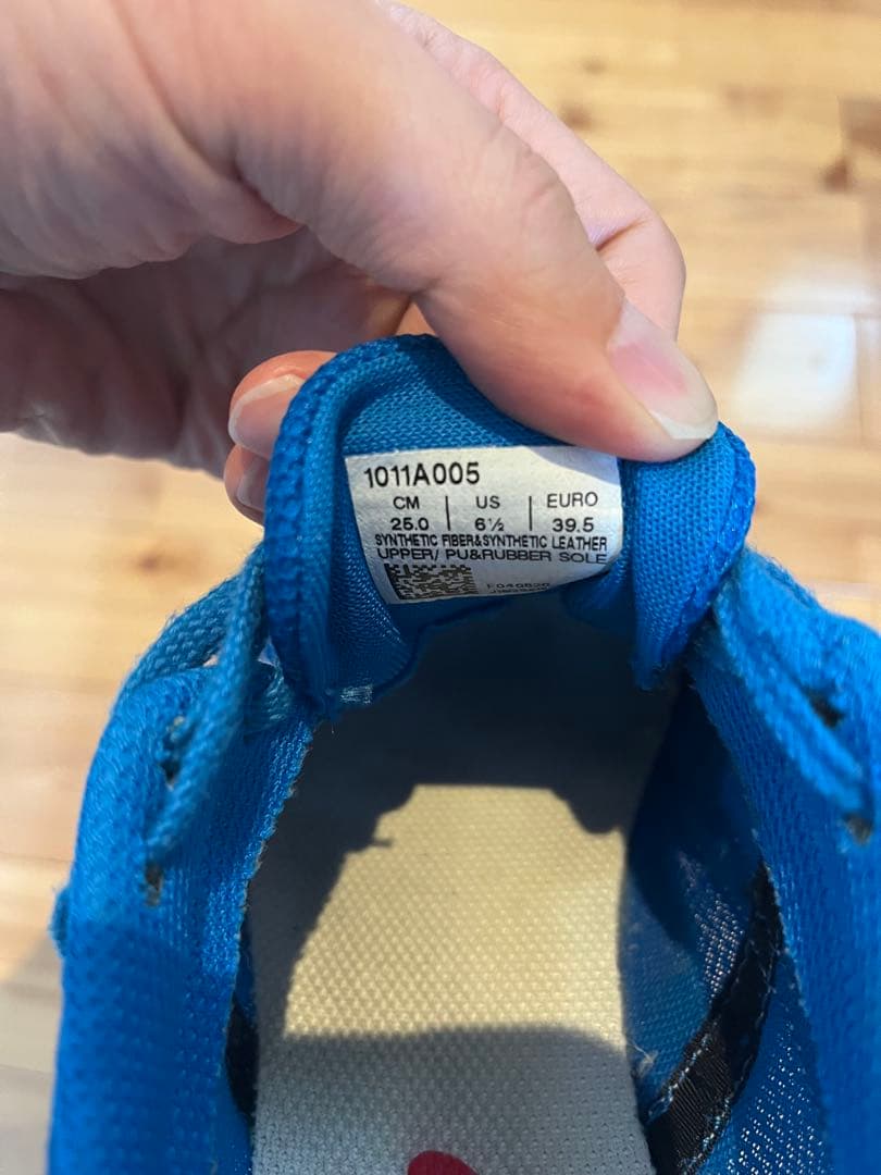 asics ターサージャパン　25cm