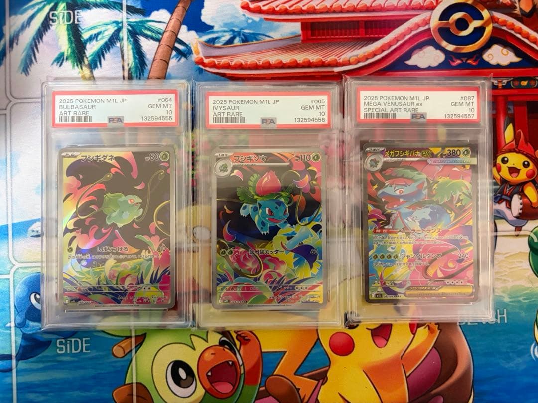 PSA10 連番　フシギダネ フシギソウ メガフシギバナex SAR 進化ライン