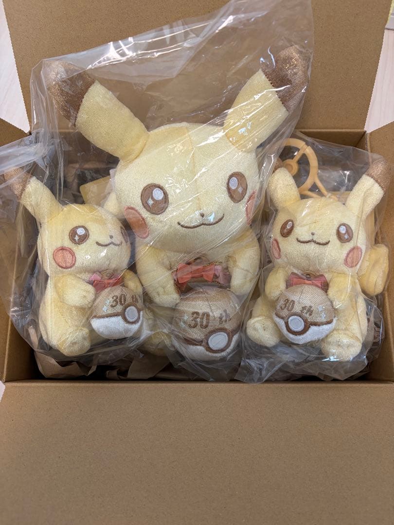 ポケモン30周年記念 ピカピカ！ピカチュウ ぬいぐるみ1個＆マスコット2個セット