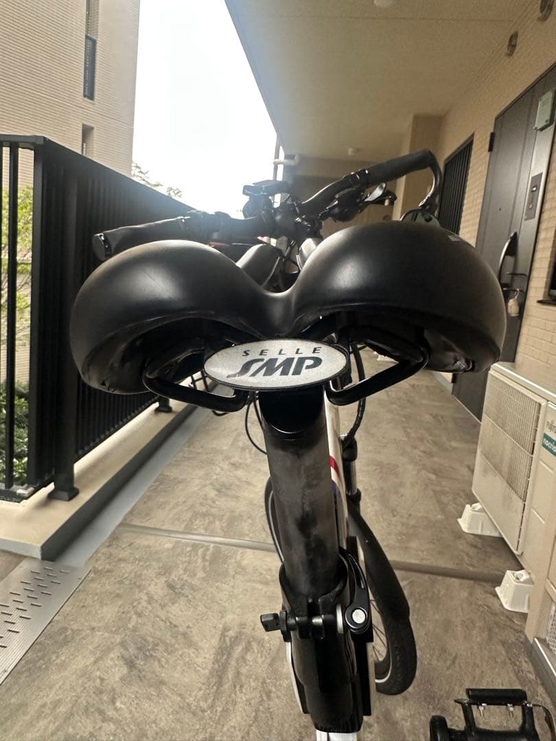 【限定モデル】BESV PSA1 電動アシスト自転車『le coq』