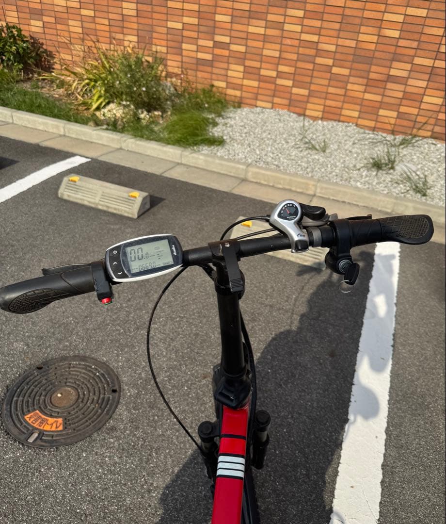 電動アシスト自転車 折りたたみ Wサス リッチビット