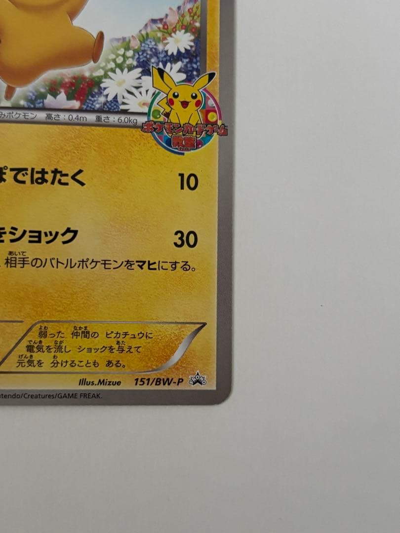 貴重 ピカチュウ PROMO BW-Pプロモカード 151/BW-P