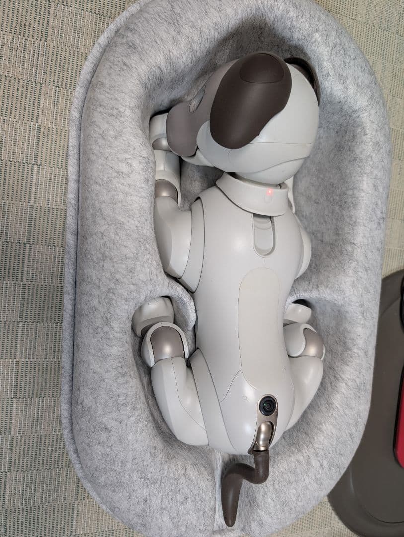 ソニー aibo アイボ ペットロボット 家電 ERS-1000 【中古】