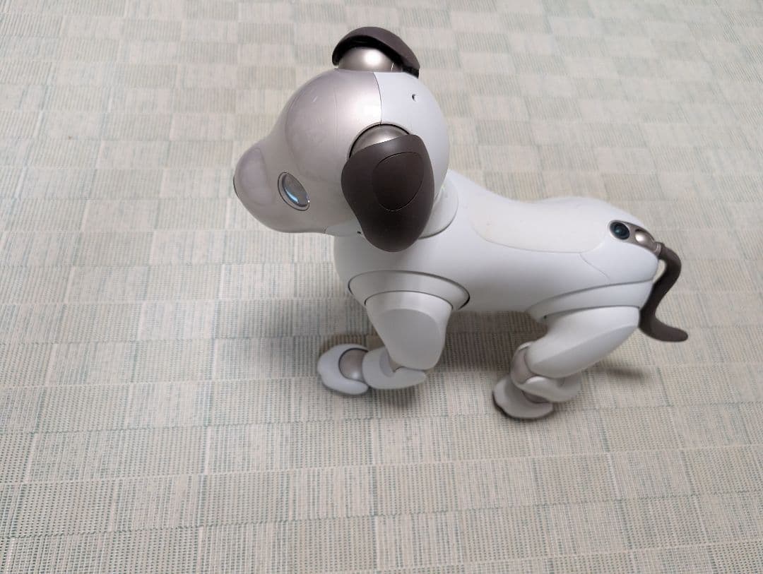 ソニー aibo アイボ ペットロボット 家電 ERS-1000 【中古】