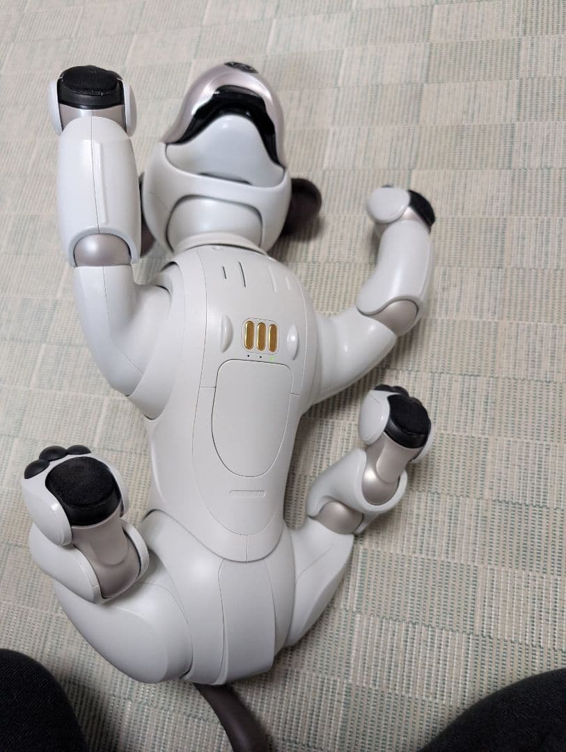 ソニー aibo アイボ ペットロボット 家電 ERS-1000 【中古】