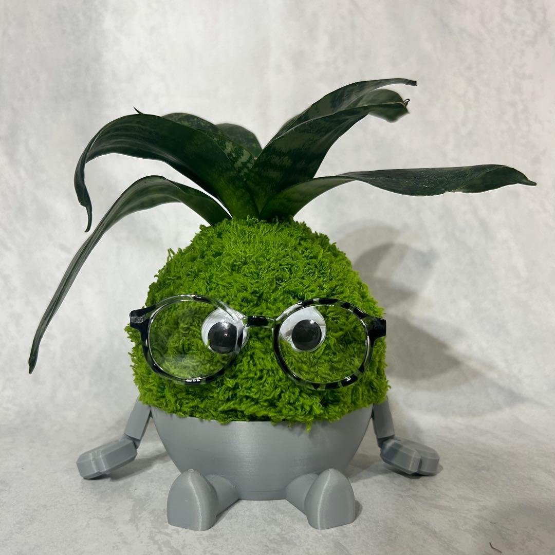デカモン(オリジナル苔玉モンスター)グリーン