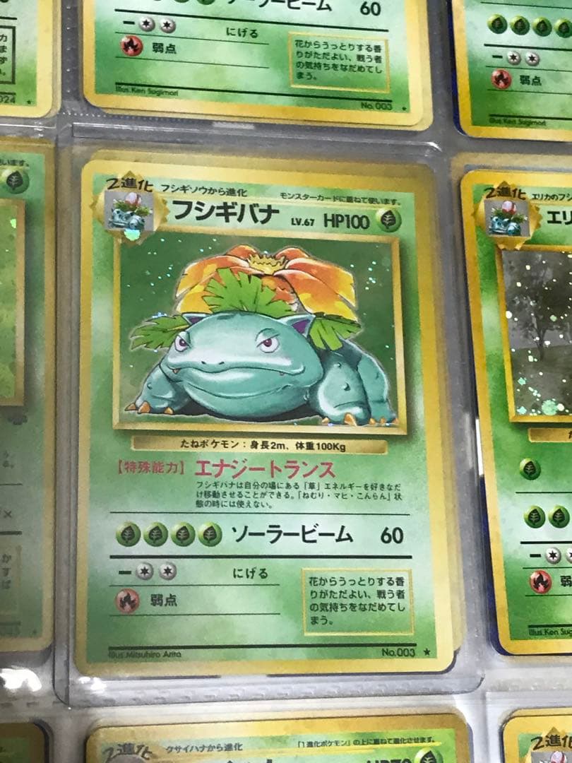 ポケモンカード旧裏　初期フシギバナ