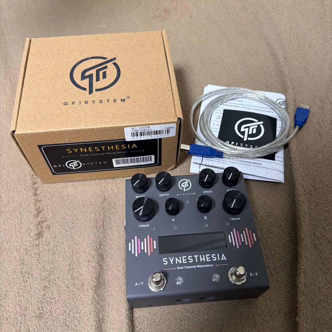 ギター GFI System Synesthesia
