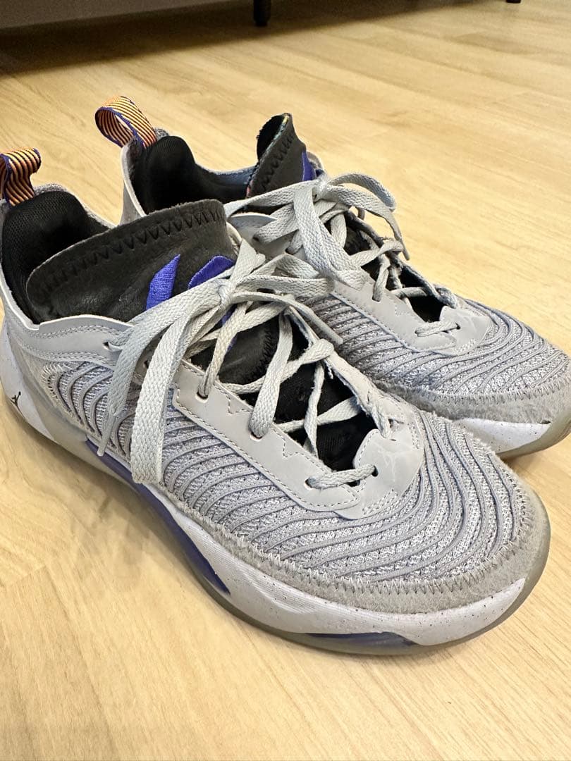 NIKE Jordan ルカ1 next nature PF 25.5cm