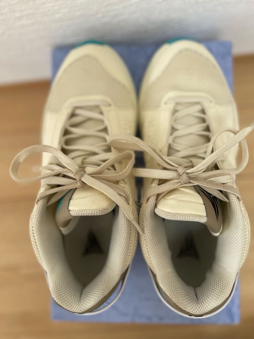 NIKE JA1 EP ナイキ ジャ1 バッシュ