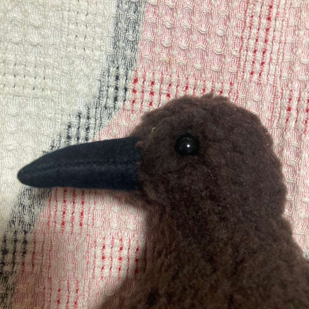 やまね工房　野鳥　名前不明　ぬいぐるみ　中古品