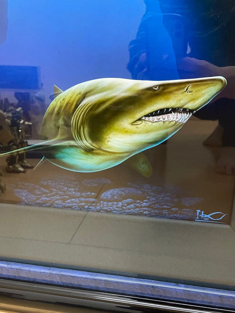 真作　戸川郁夫　『Shark』　マリンアート　アクリル画　証明書付　絵画