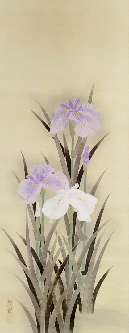 12-9　小川朝陽　菖蒲