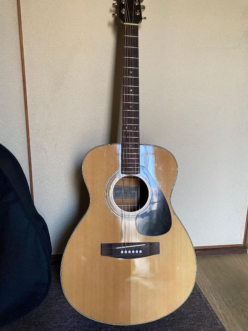 G-100 アコースティックギター