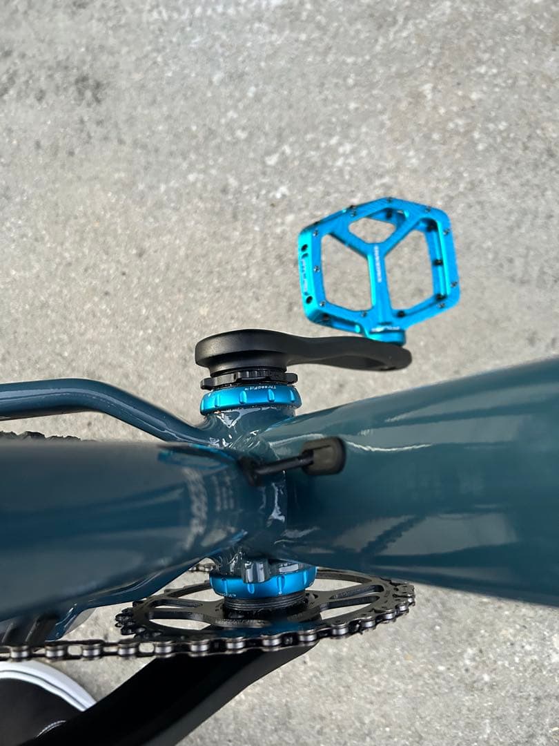 ② SANTA CRUZ chameleon カメレオン　サンタクルーズ　極美品