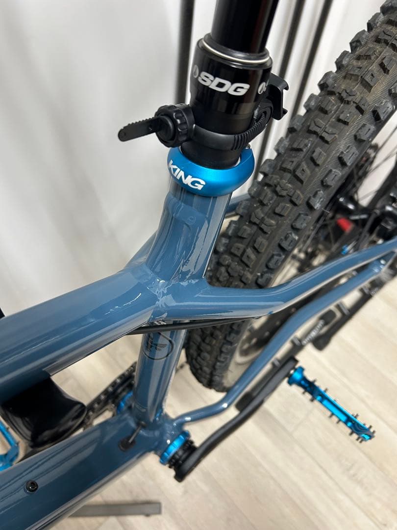 ② SANTA CRUZ chameleon カメレオン　サンタクルーズ　極美品
