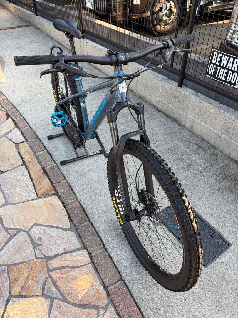② SANTA CRUZ chameleon カメレオン　サンタクルーズ　極美品