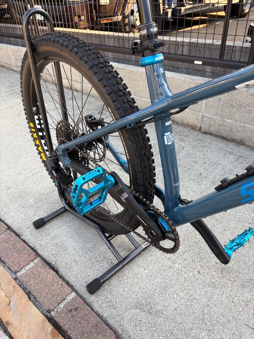 ② SANTA CRUZ chameleon カメレオン　サンタクルーズ　極美品