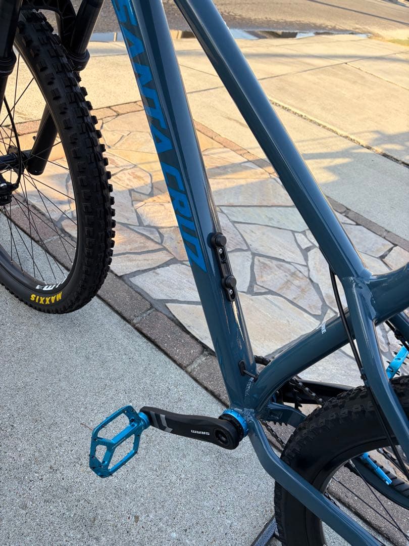 ② SANTA CRUZ chameleon カメレオン　サンタクルーズ　極美品