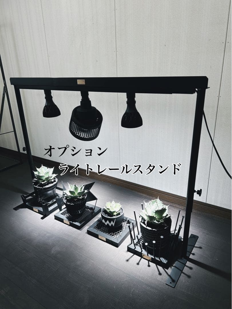 ずち