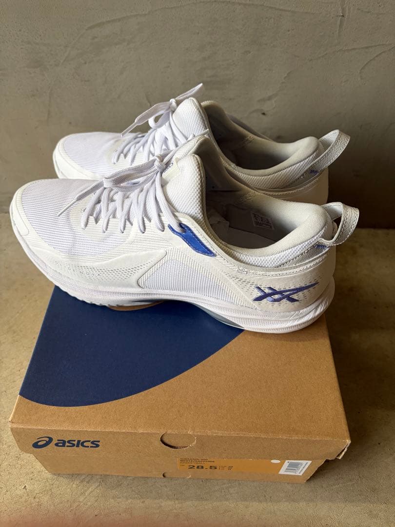 ASICS グライドノヴァ　28.5cm
