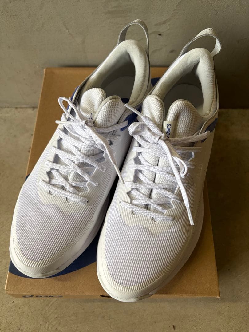ASICS グライドノヴァ　28.5cm