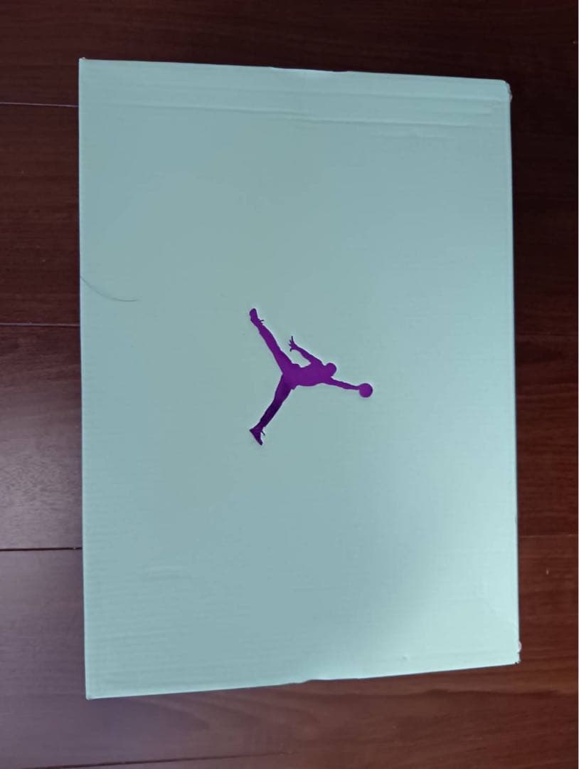 シューズ(男性用) WMNS JORDAN HEIR SERIES PF 8