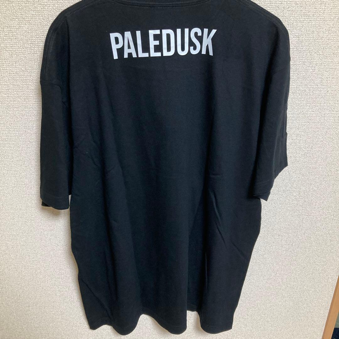 ミュージシャン paledusk