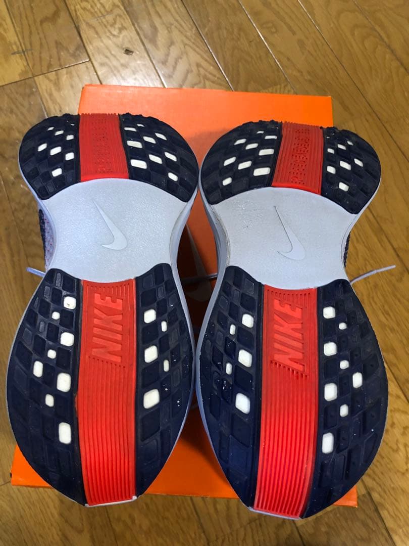 Nike　ナイキ　ペガサス プラス　27.5cm　メンズ