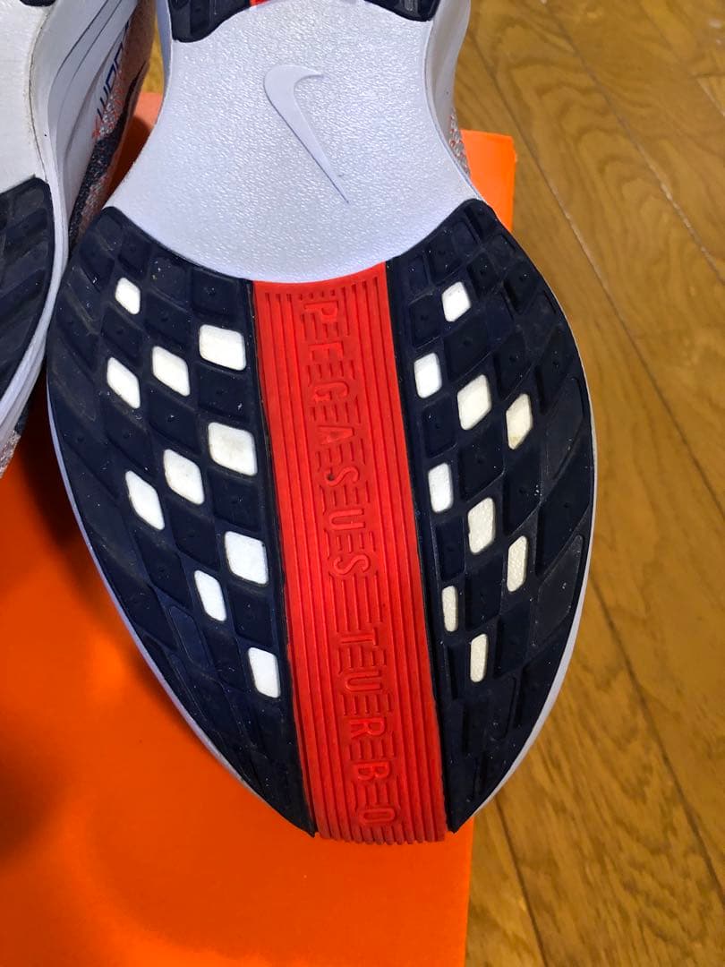 Nike　ナイキ　ペガサス プラス　27.5cm　メンズ