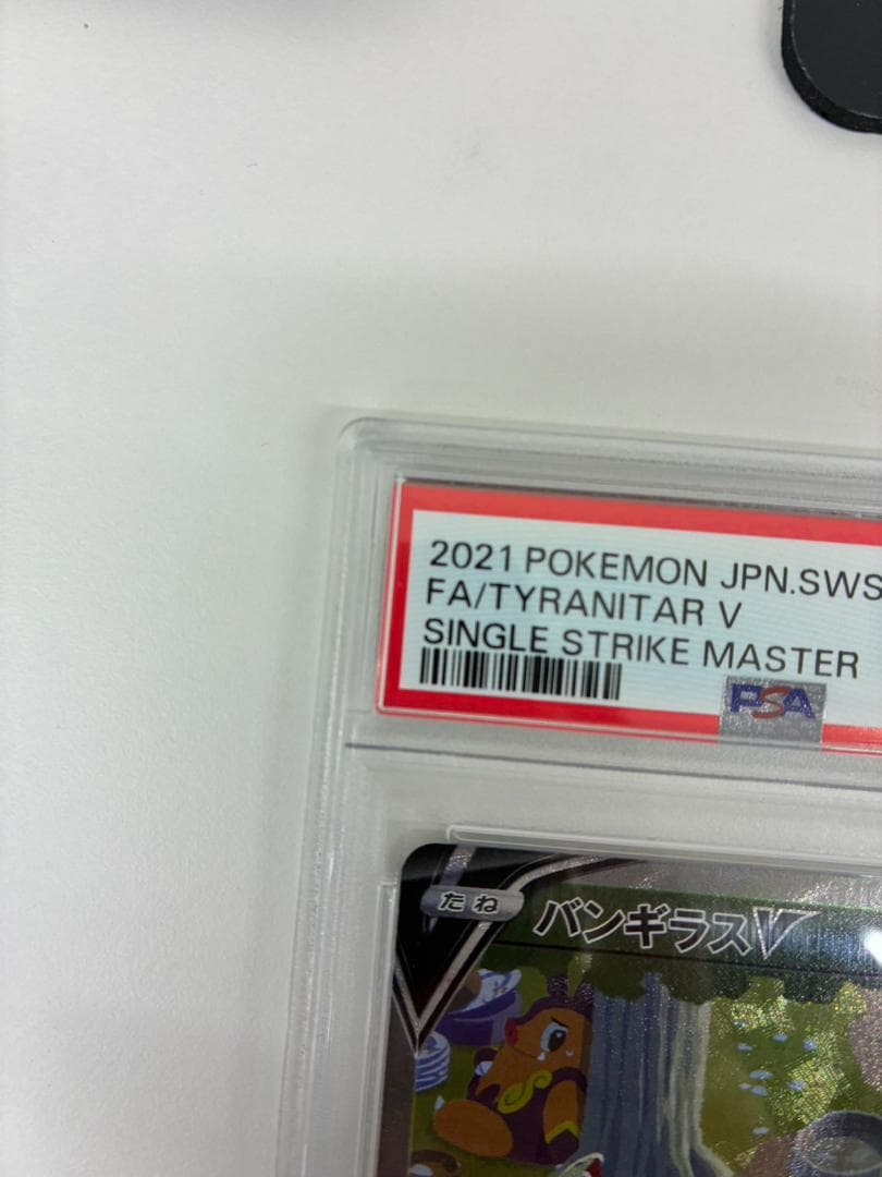 山263【PSA10】バンギラスV SA SR（077/070）