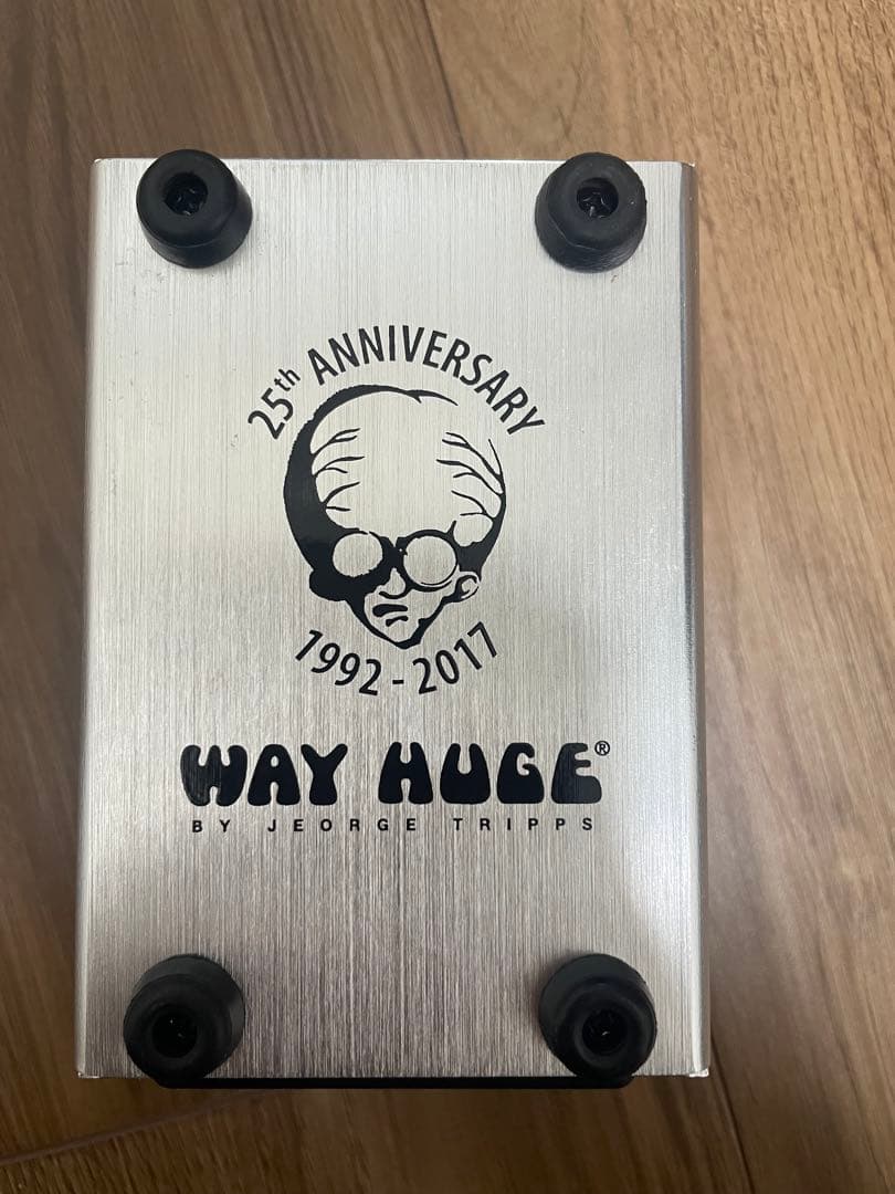 ギター WAY HUGE / RED LLAMA 25th Anniversary