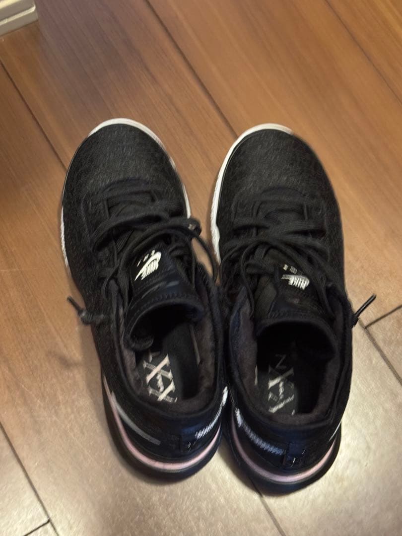 Nike レブロンNXXT Gen バスケットシューズ　28.0