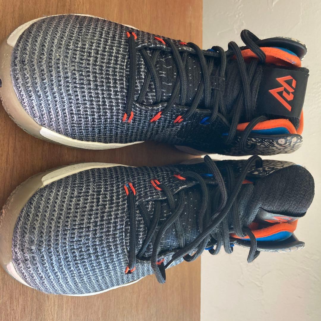 シューズ(男性用) AIR JORDAN XXXI WHY NOT