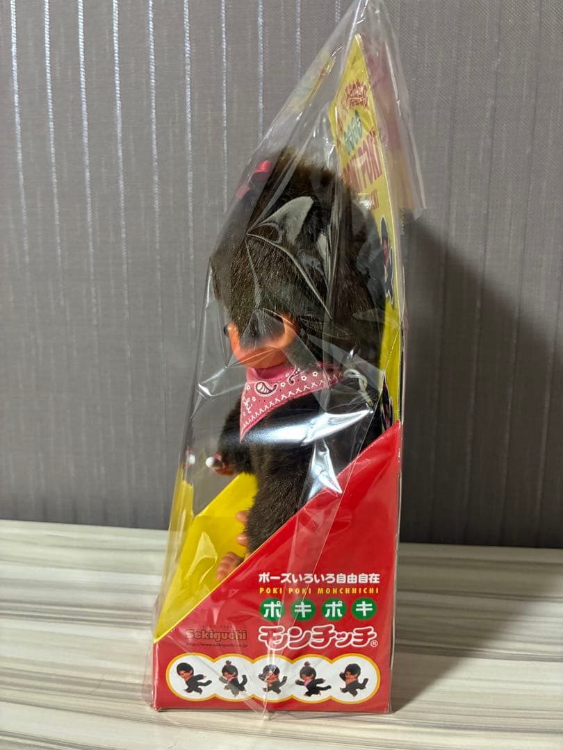 ポーズいろいろ自由自在　　ポキポキモンチッチ　女の子