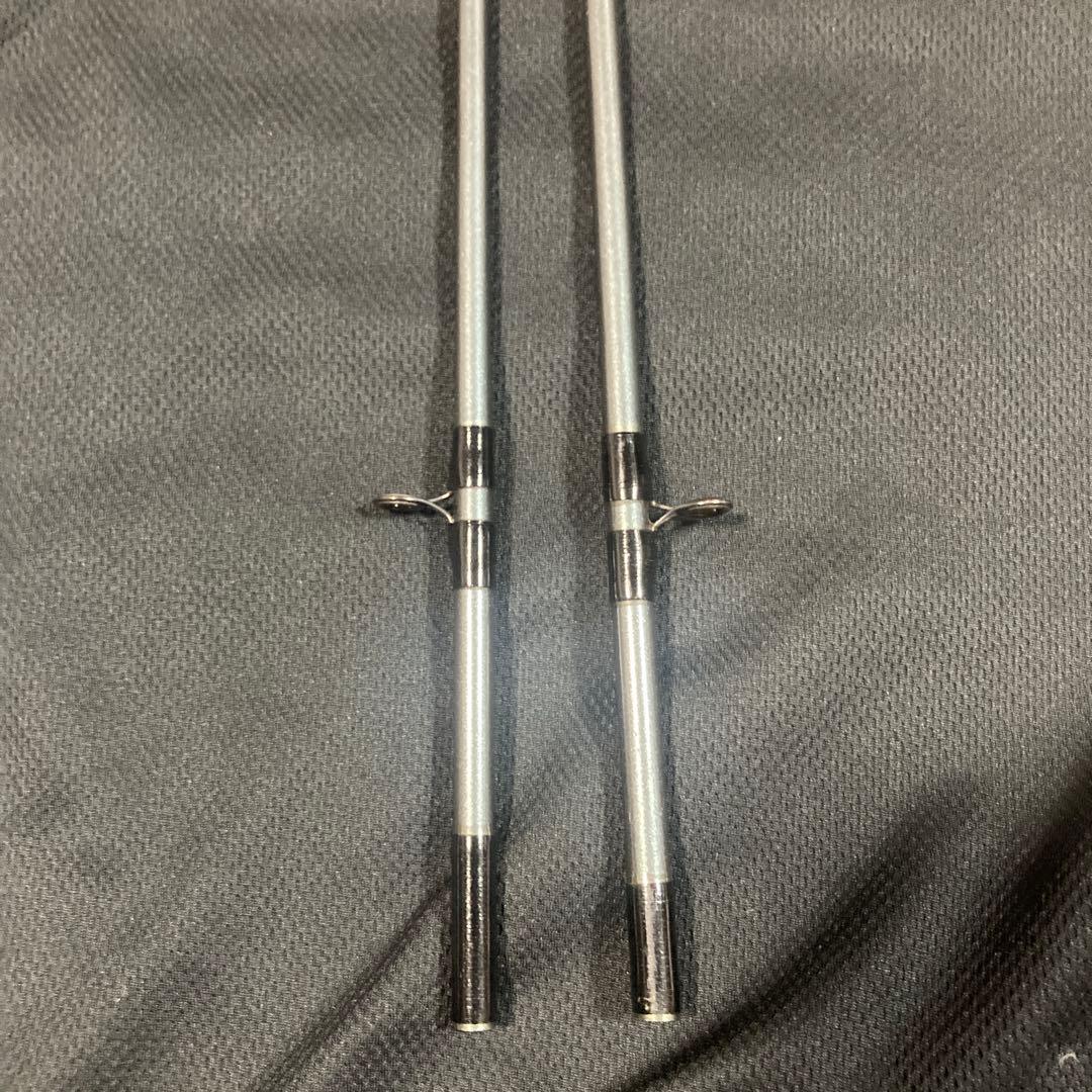 ダイワ　Daiwa プロキャスターＸ　2本セット