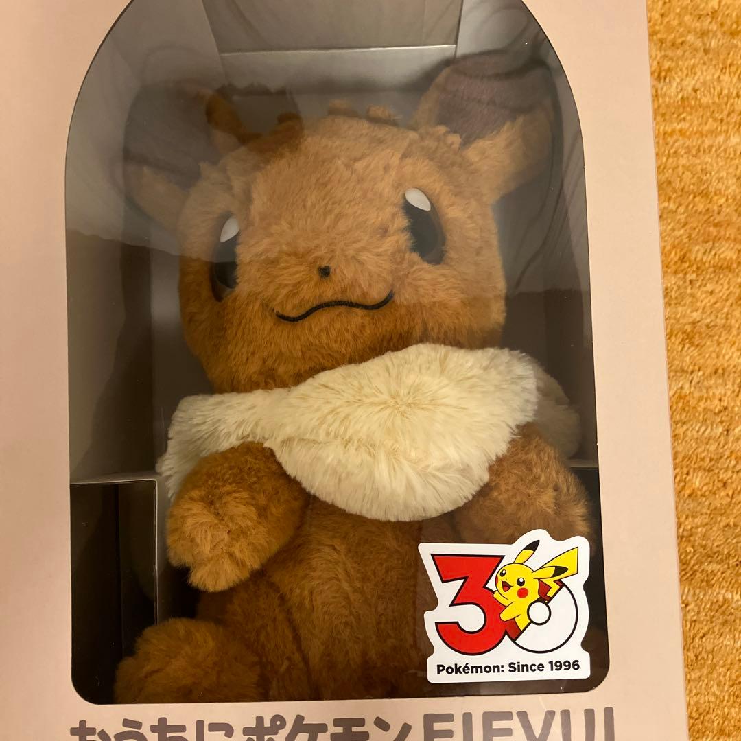 おうちにポケモン PIKACHU EIEVUI 30周年 ぬいぐるみセット