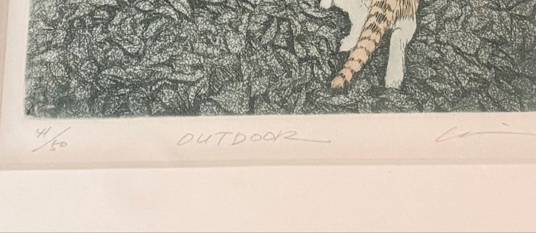 二口 圭子 版画 【OUT DOOR】 猫 木製額入り 41/50