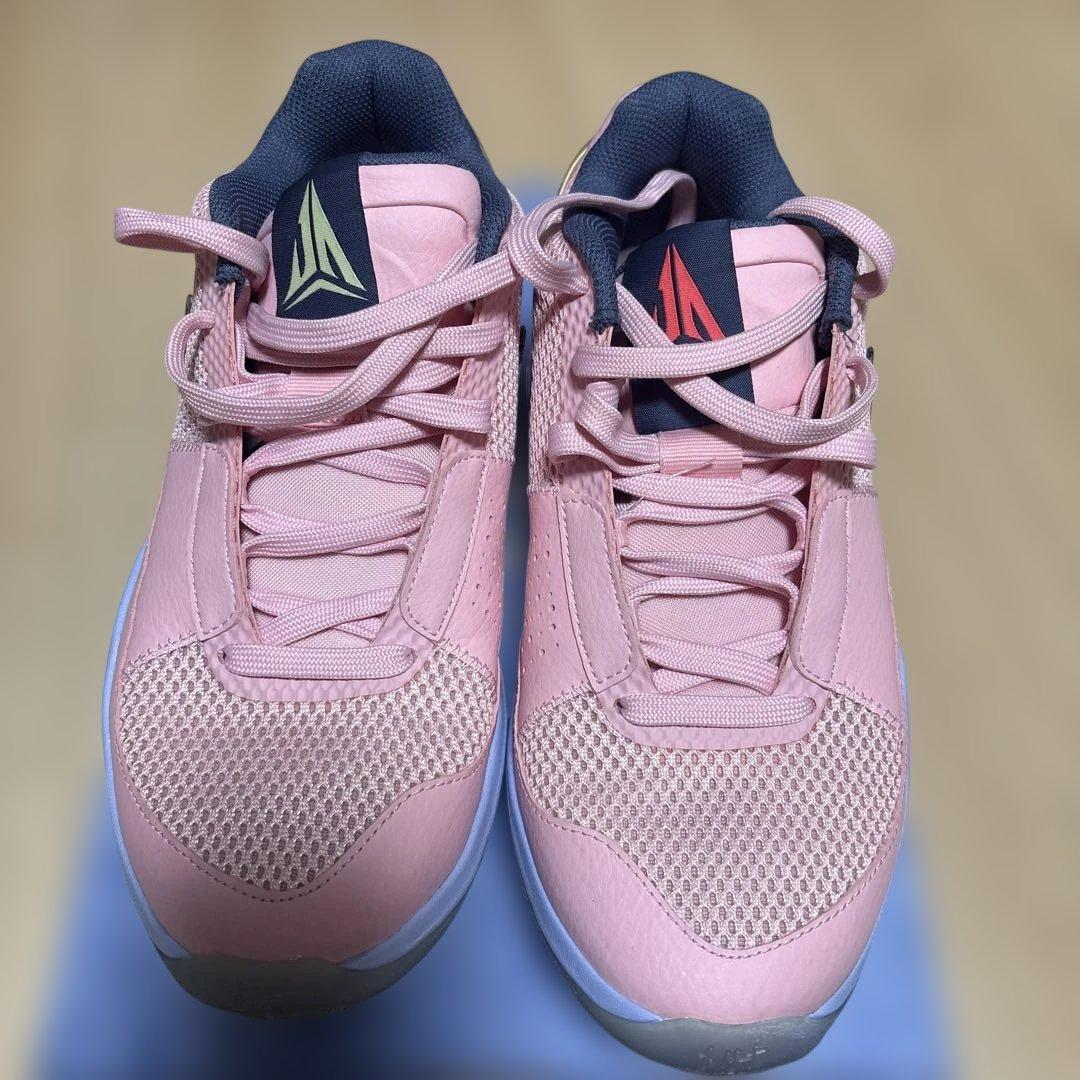 シューズ(男性用) NIKE JA1 PE EP 26cm