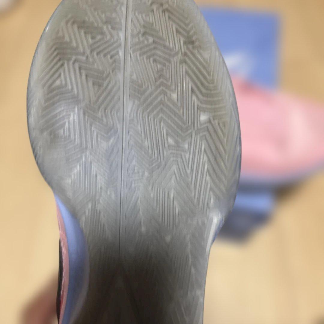 シューズ(男性用) NIKE JA1 PE EP 26cm
