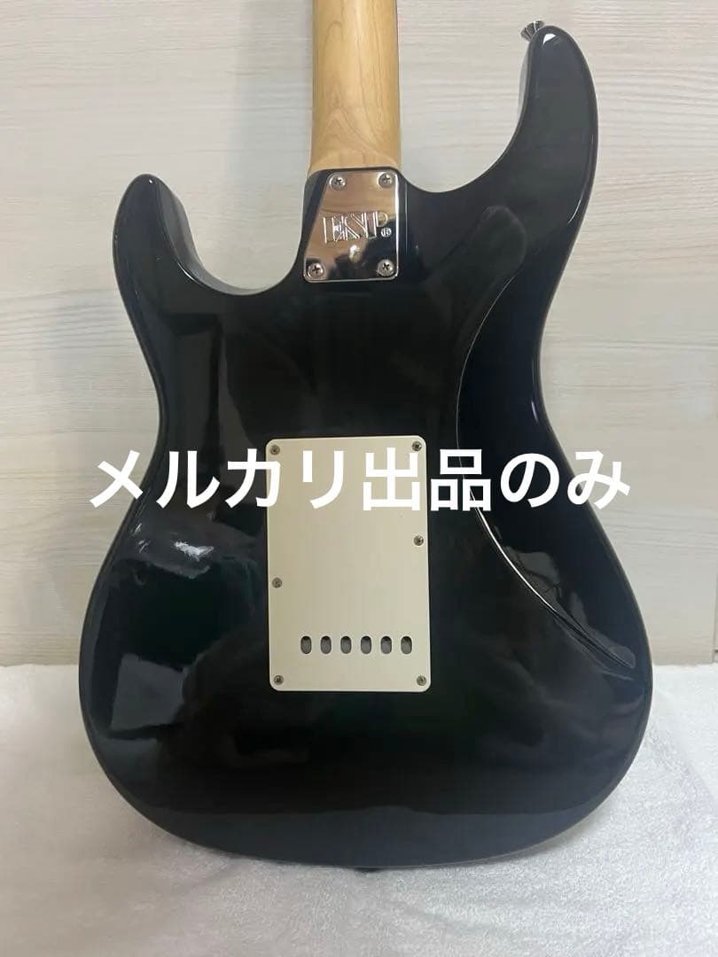 菅原卓郎モデルEDWARDS E-SN-123TAKURO