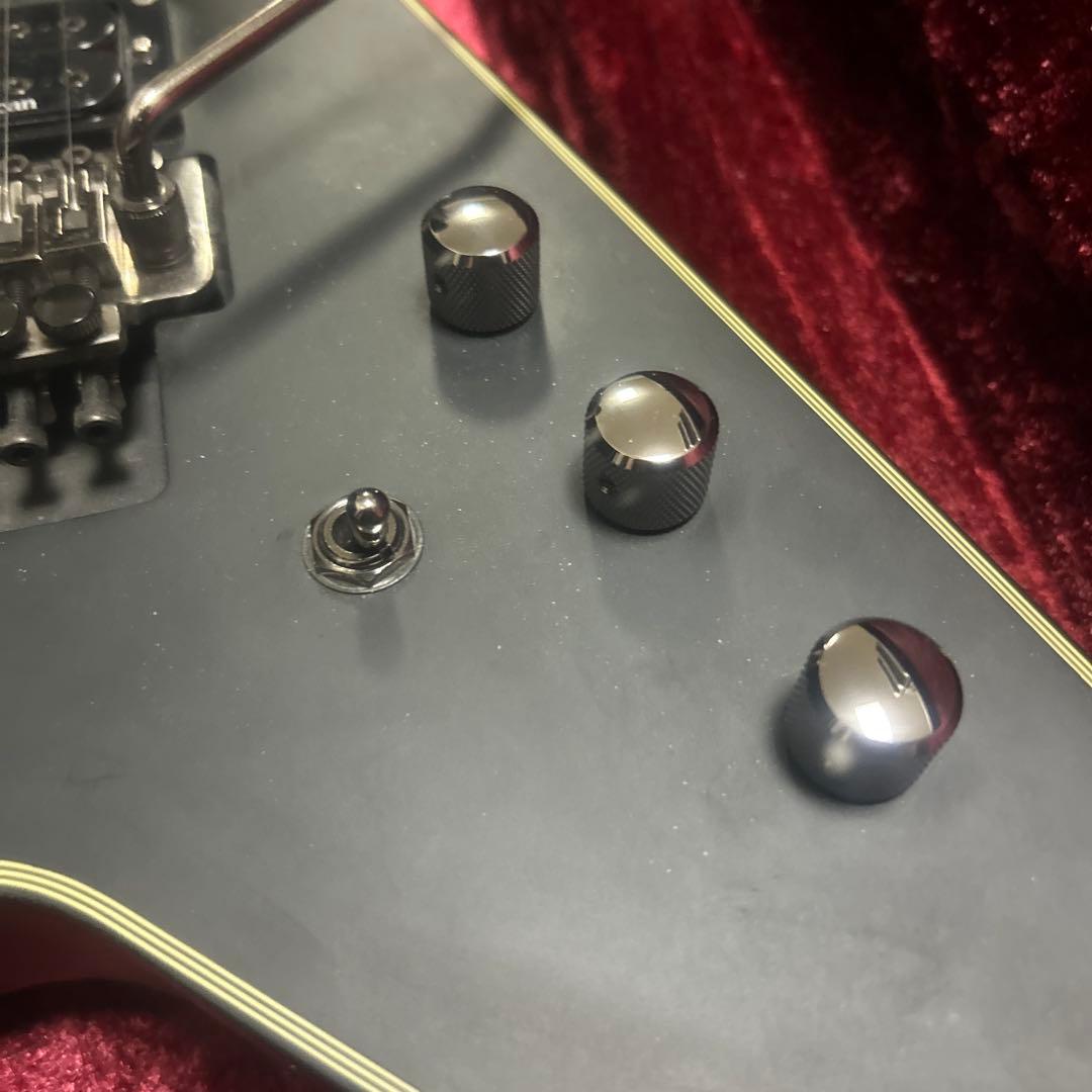 専用Schecter Blackjack SLS-V エレキギター カスタム多数