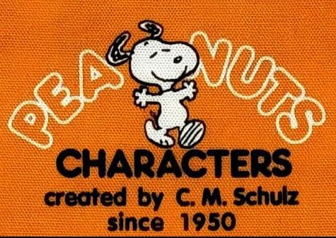 激レア！SNOOPY＆ペパーミントパティ　巾着ポーチ　未使用　レトロ