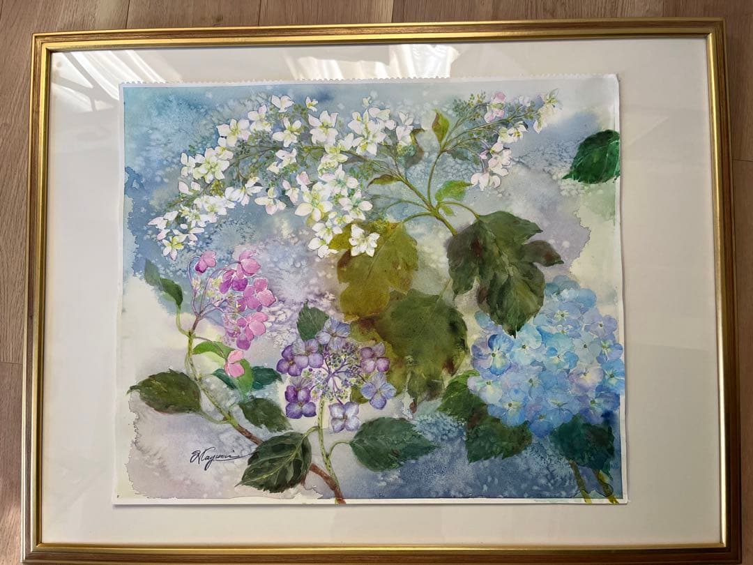 柏葉紫陽花　水彩画